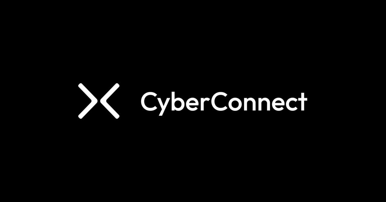 Cyberconnect image